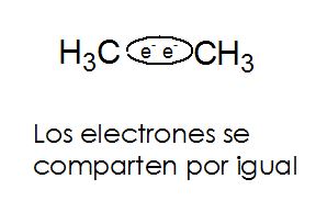 CC Covalente.JPG