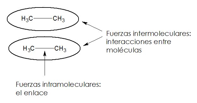 F Intermoleculras